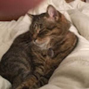 Meet your Posher, Maureen